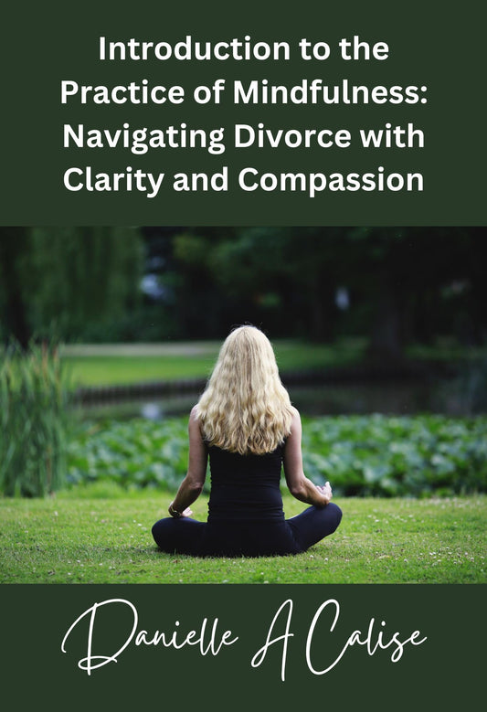 Introduction to the Practice of Mindfulness: Navigating Divorce with Clarity and Compassion